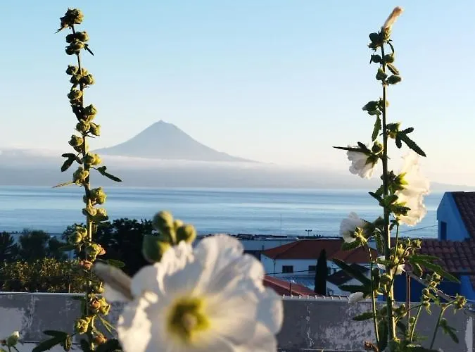 Magma Rral3529 Apartment Velas